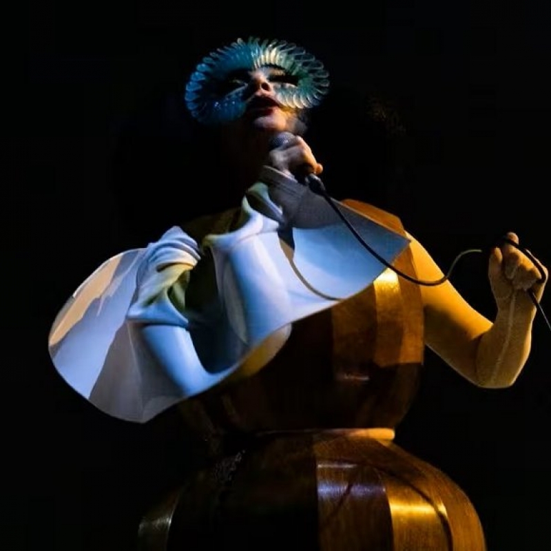 Bjork - Ruby Baby