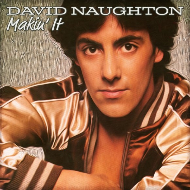 David Naughton - Makin' It