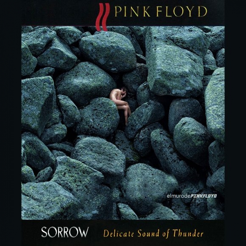 Pink Floyd - Sorrow